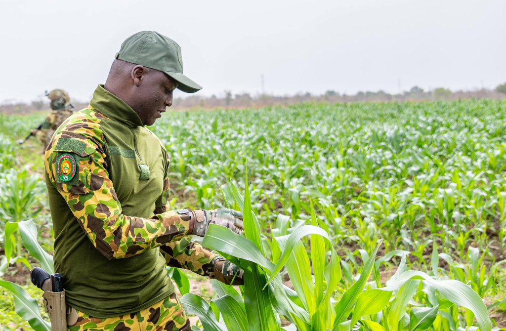 Burkina Faso : Le pari des cultures « impossibles », quand l&rsquo;État burkinabè déjoue tous les pronostics climatiques.