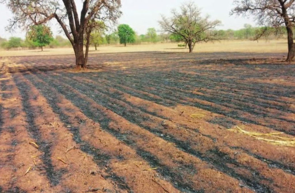 Burkina Faso : La nouvelle loi foncière replace l&rsquo;État au cœur de la maîtrise des terres