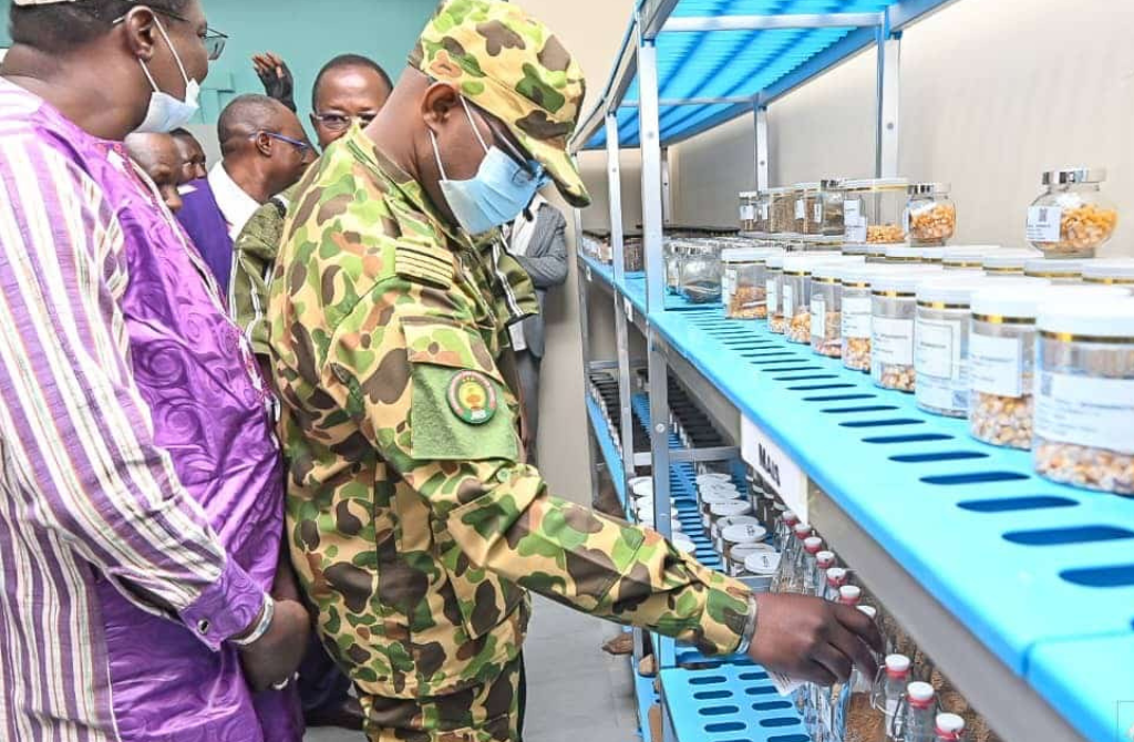 Burkina Faso : La banque nationale de gènes phytogénétiques, pierre angulaire de la souveraineté agricole et de la sécurité alimentaire.